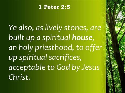 1 peter 2:2-5|1 peter 2 5 spiritual house.